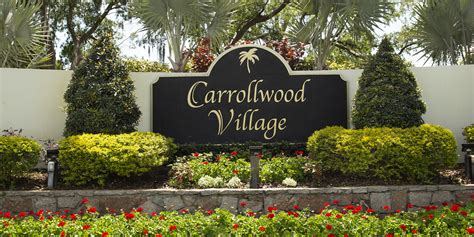 Find a prostitute Carrollwood Village