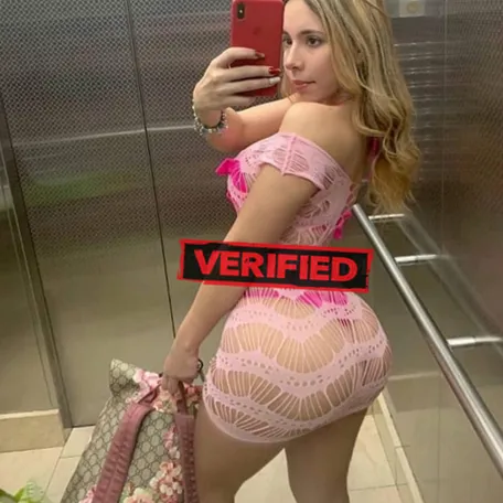 Ashley sexy Prostituta Rosto de Cao